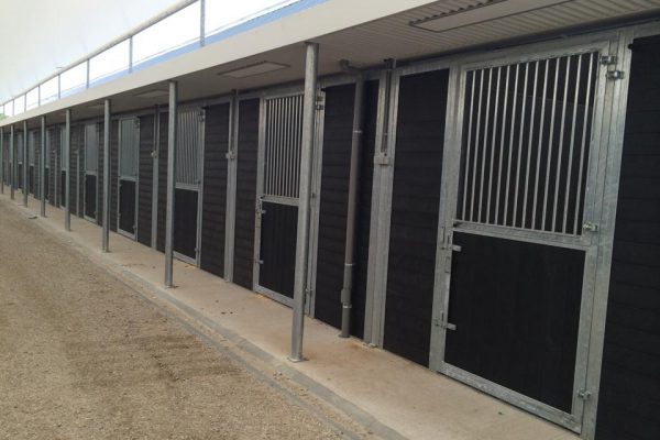 tops4