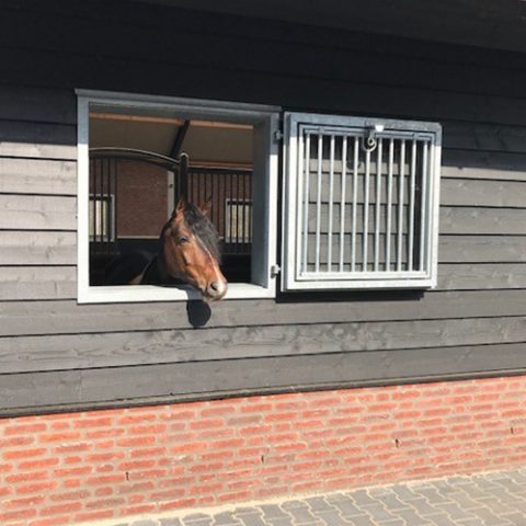 VDO-Paardenstallen-project-Fam Steenbergen Berlicum-7
