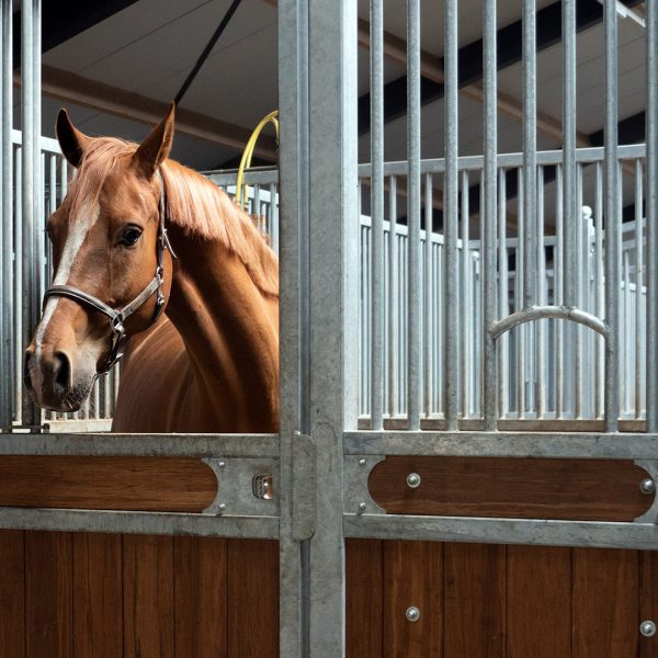 Coby en Mariette Maas - VDO Paardenstallen - 4906 Coby en Mariette Maas - VDO Paardenstallen - 4906