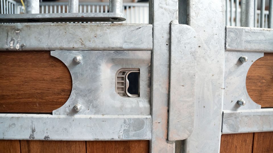 Coby en Mariette - VDO Paardenstallen - 4865 Paardenstallen van Coby en Mariette Maas