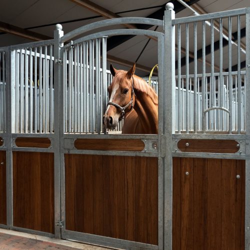 Coby en Mariette - VDO Paardenstallen - 4906 Paardenstallen van Coby en Mariette Maas