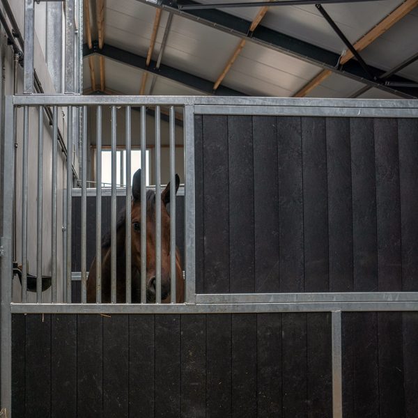 Doorkijkdeel - Golf - VDO Paardenstallen - DSC06555 Doorkijkdeel - Golf - VDO Paardenstallen - DSC06555