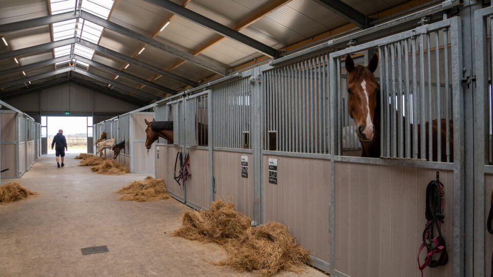Hoeve Nederheide