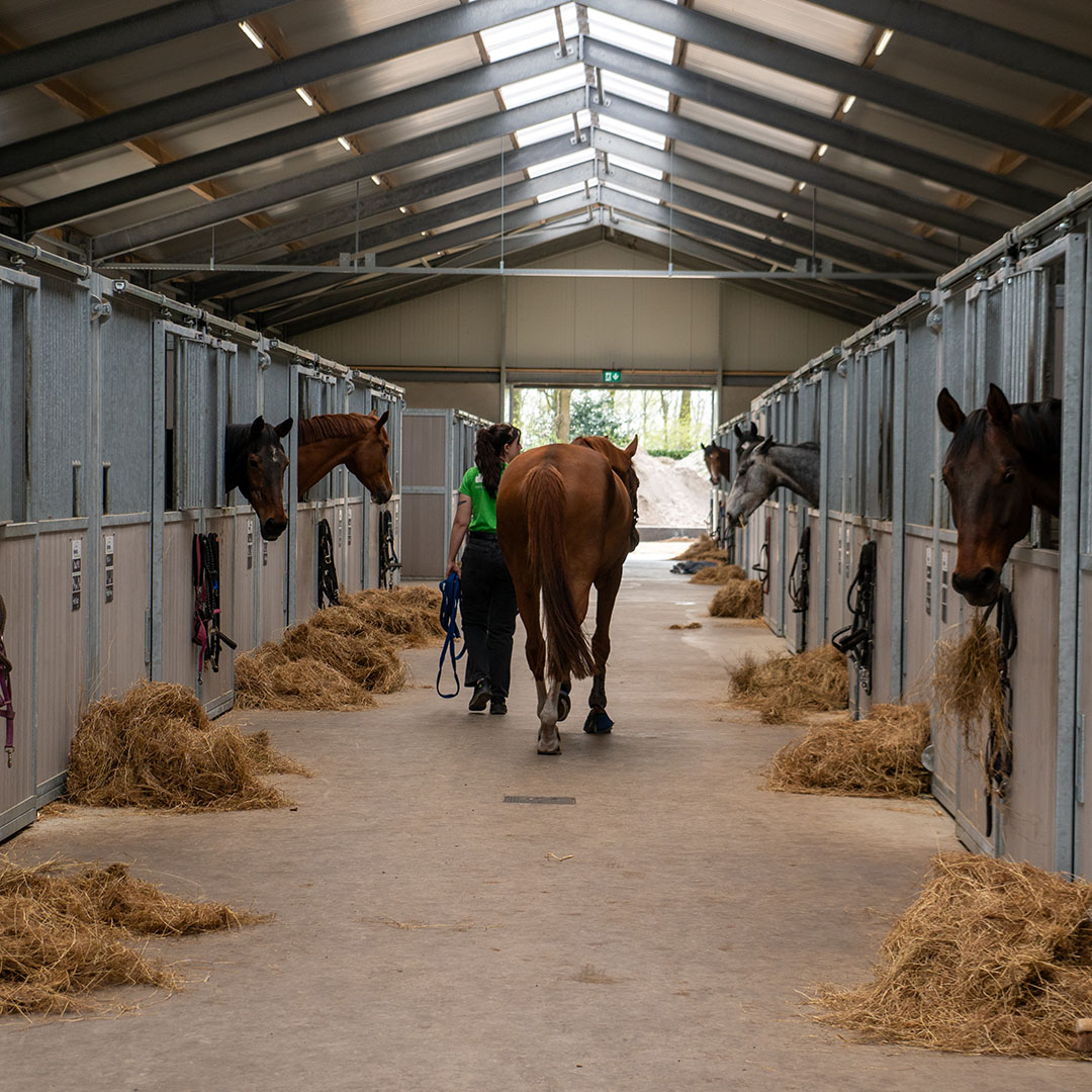 Hoeve Nederheide