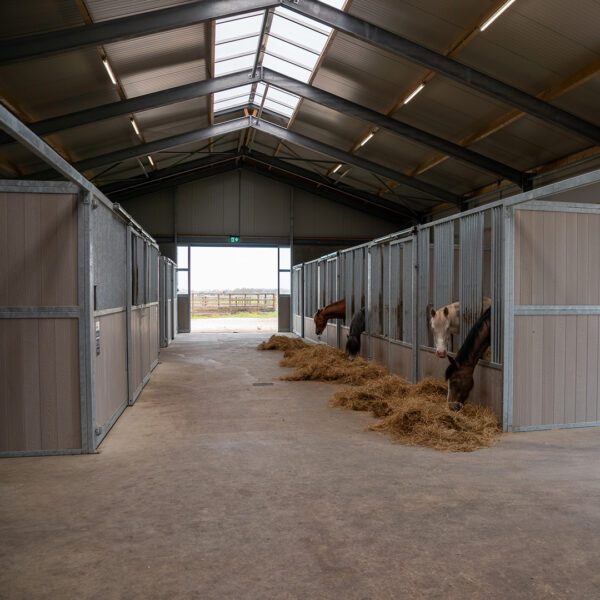 Opfokstal en individuele stal