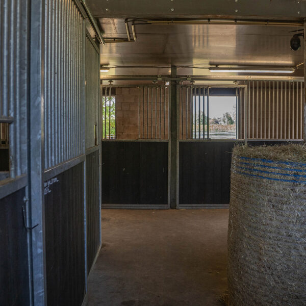 Stal met hoge voorwanden en stalluikjes