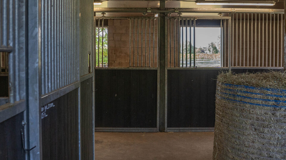 Stal met hoge voorwanden en stalluikjes