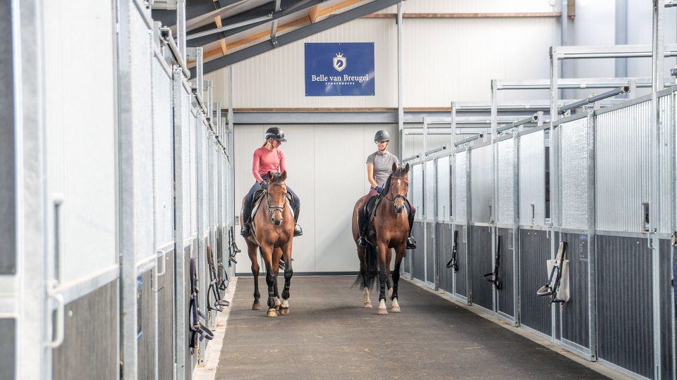 Jolanda Schouten - Belle van Breugel - VDO Paardenstallen - DSC06856 Jolanda Schouten - Belle van Breugel - VDO Paardenstallen - DSC06856