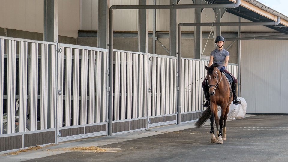 Jolanda Schouten - VDO Paardenstallen - DSC06811 Jolanda Schouten - VDO Paardenstallen - DSC06811