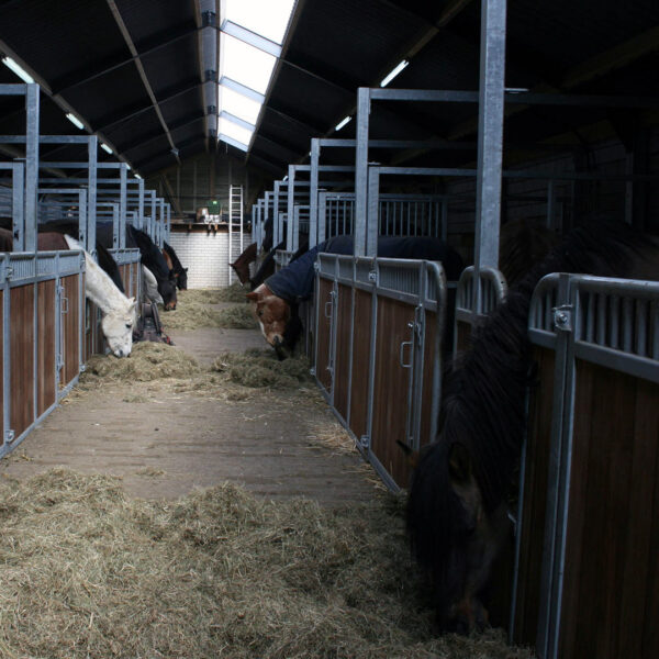 Paardenrusthuis Klavertje 4