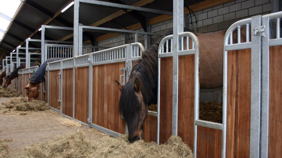 Paardenrusthuis Klavertje 4