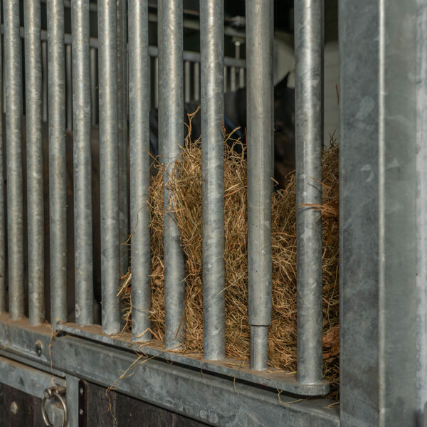 Schijndelse Woud Stables
