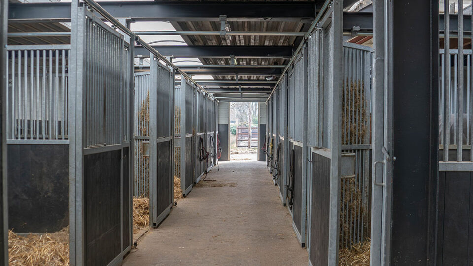 Schijndelse Woud Stables