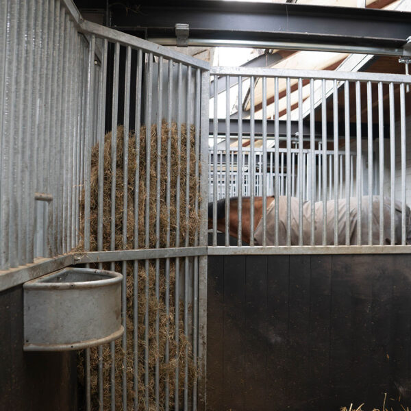 Schijndelse Woud Stables