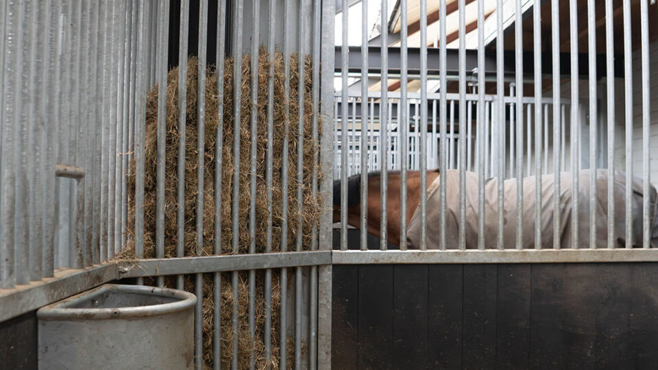 Schijndelse Woud Stables