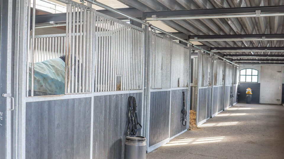 Schijndelse Woud Stables