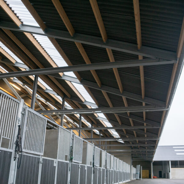 Extra hoge paardenschuur