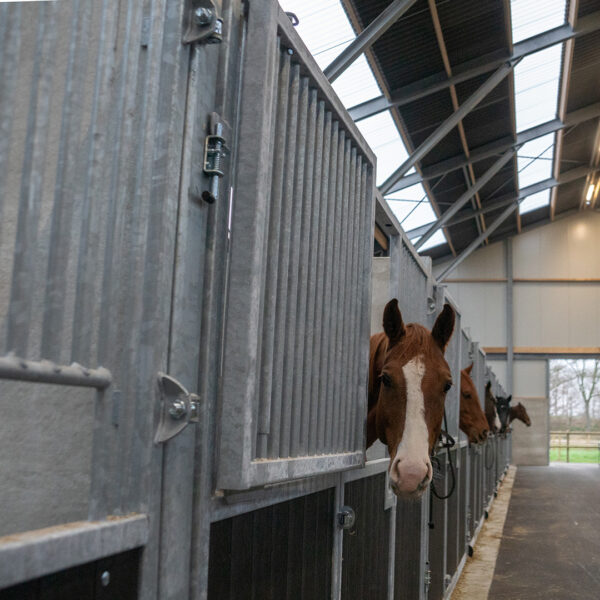 Luik in voorwand paardenstal