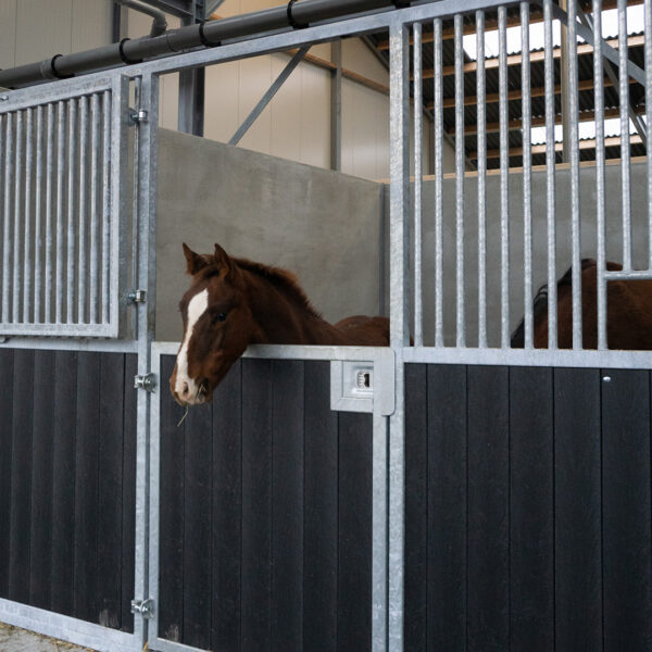 Verhoogde staldeuren