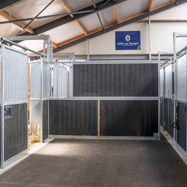 Uitschuifbare tussenwand - Golf - VDO Paardenstallen - DSC06871 Uitschuifbare tussenwand - Golf - VDO Paardenstallen - DSC06871