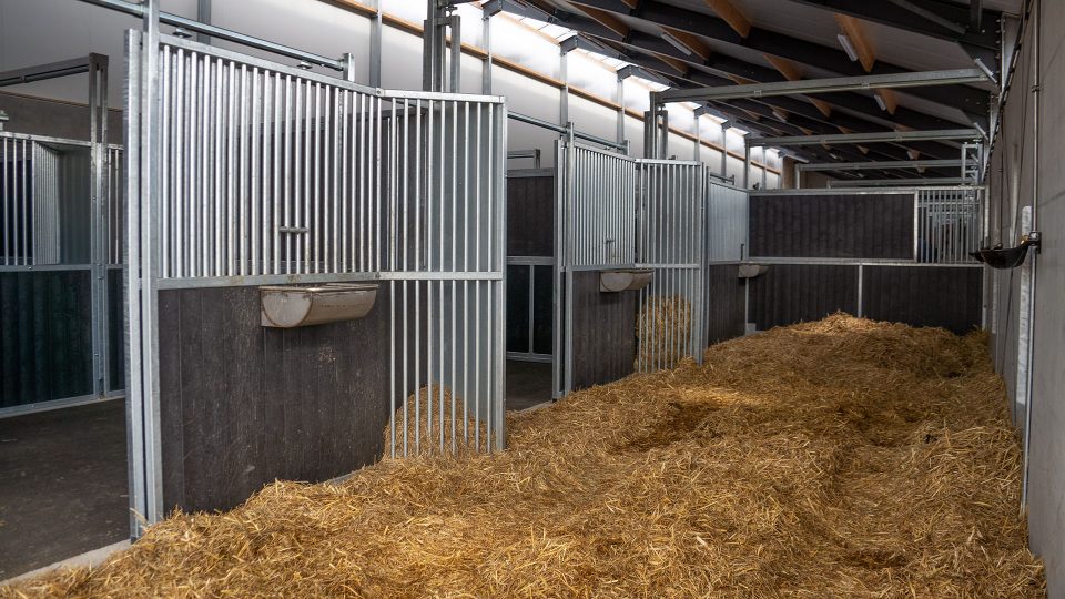 Uitschuifbare tussenwanden - Golf - VDO Paardenstallen - DSC06892 Uitschuifbare tussenwanden - Golf - VDO Paardenstallen - DSC06892