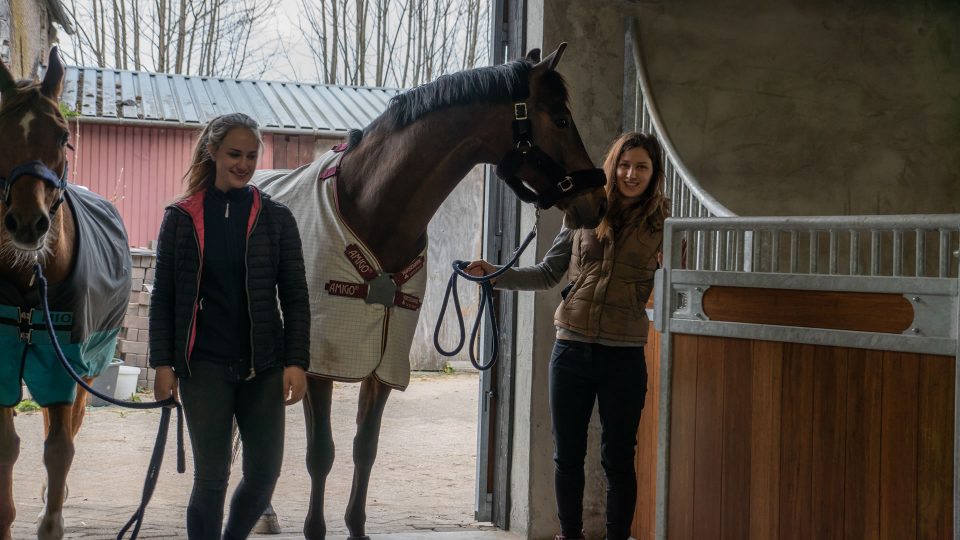 VDO Paardenstallen - Aniek - 03429