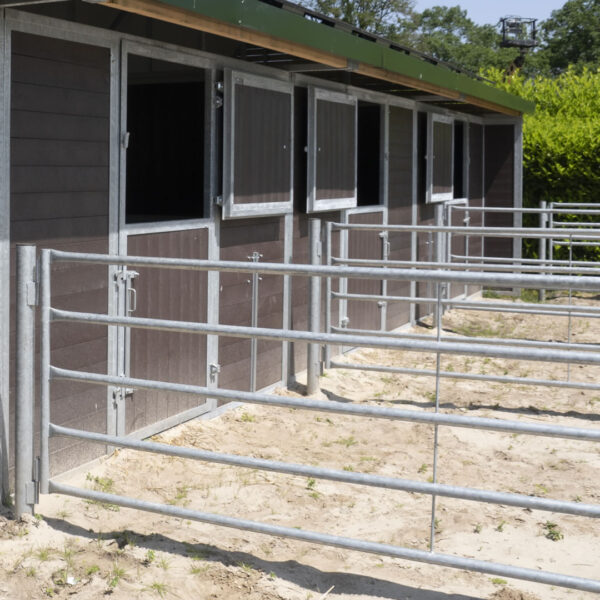 VDO Paardenstallen - Beringerzand - Uitloop in paddock - 09484