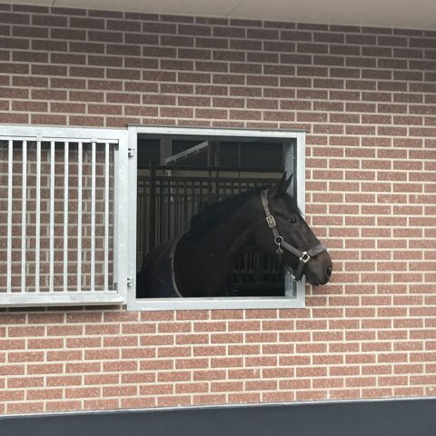 VDO Paardenstallen - Project Easy Hay
