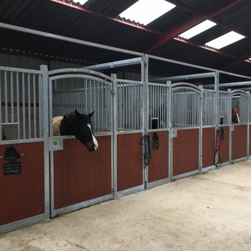 VDO Paardenstallen - Expert Line