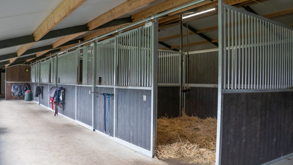 VDO Paardenstallen Golf - 03519 VDO Paardenstallen Golf - 03519