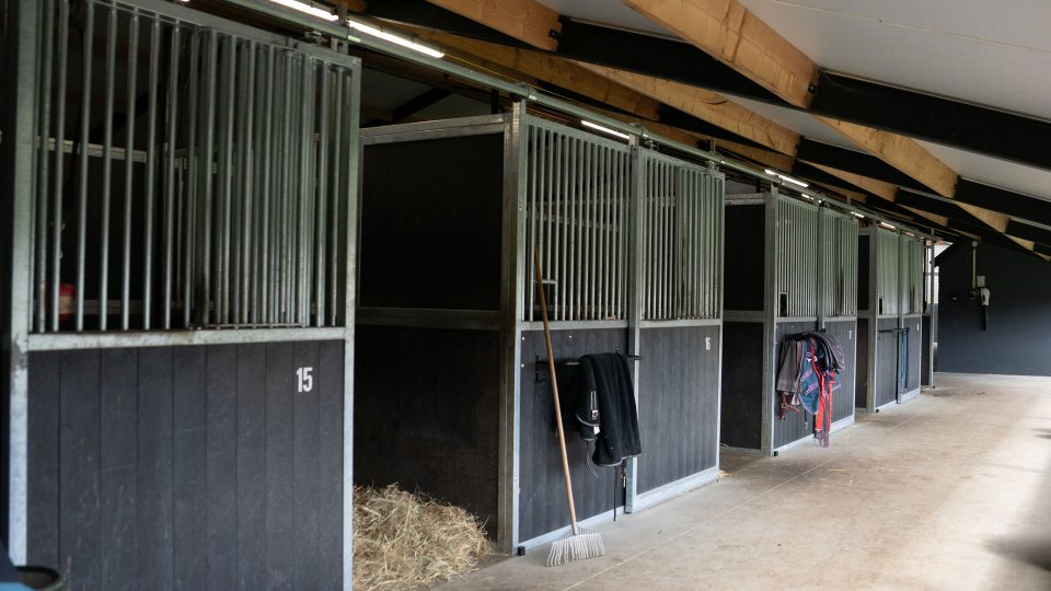 VDO Paardenstallen Golf - 03585 VDO Paardenstallen Golf - 03585