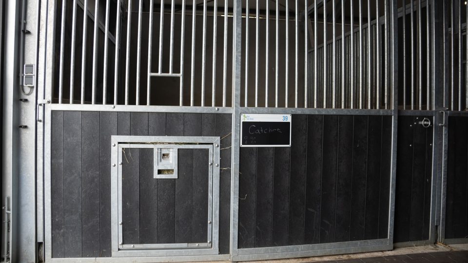 VDO Paardenstallen Golf - 04646 VDO Paardenstallen Golf - 04646