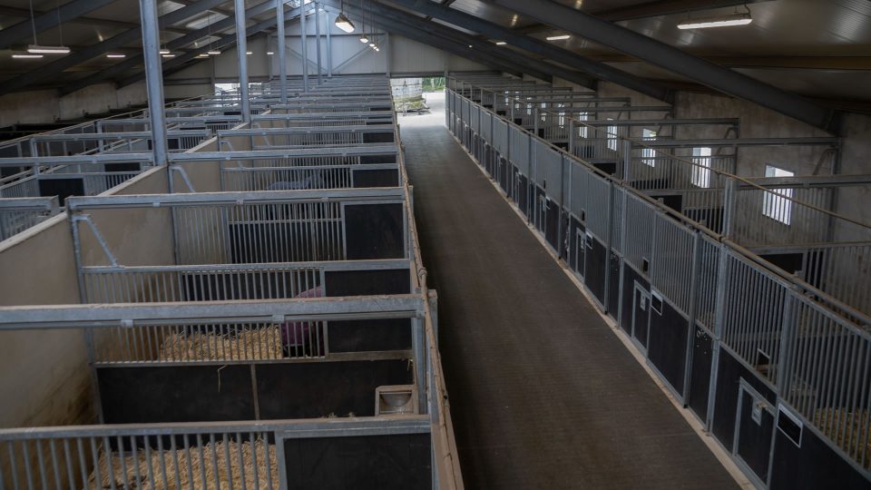 VDO Paardenstallen Golf - 04665 VDO Paardenstallen Golf - 04665