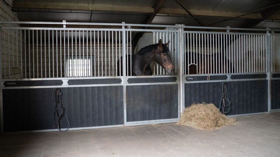 VDO Paardenstallen Golf - 04779 VDO Paardenstallen Golf - 04779