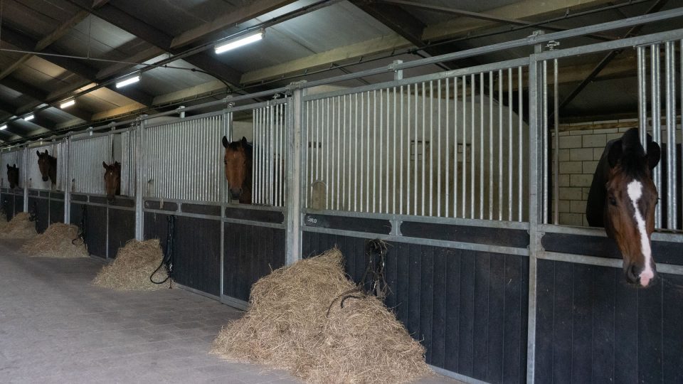 VDO Paardenstallen Golf - 04800 VDO Paardenstallen Golf - 04800