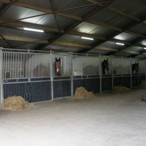 VDO Paardenstallen Golf - 04915 VDO Paardenstallen Golf - 04915