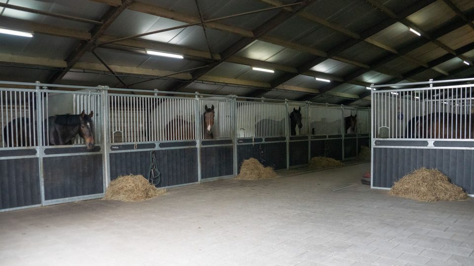 VDO Paardenstallen Golf - 04915 VDO Paardenstallen Golf - 04915