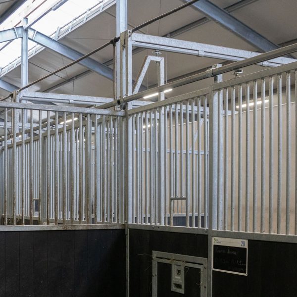 VDO Paardenstallen Golf - Glenn - Verhoogde spanten voor machinaal uitmesten - 04687 VDO Paardenstallen Golf - Glenn - Verhoogde spanten voor machinaal uitmesten - 04687