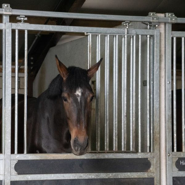 VDO Paardenstallen Golf - José van Haaren - Betonnen zijwanden - 04777