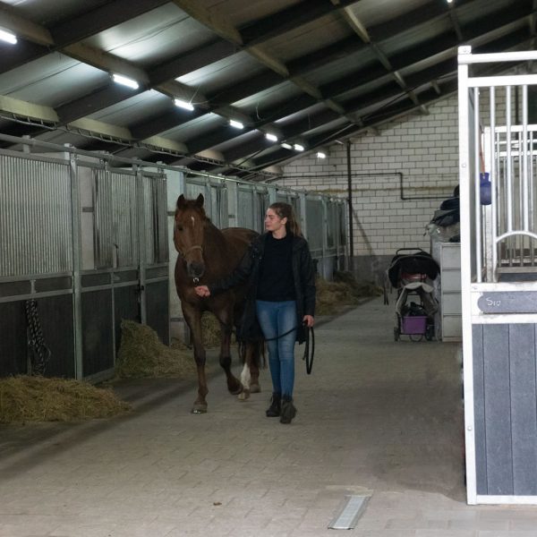 VDO Paardenstallen Golf - José van Haaren - Extra brede gangpaden - 04905