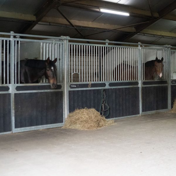 VDO Paardenstallen Golf - José van Haaren - Hoge voorwanden met luikjes in de schuifdeuren - 04910
