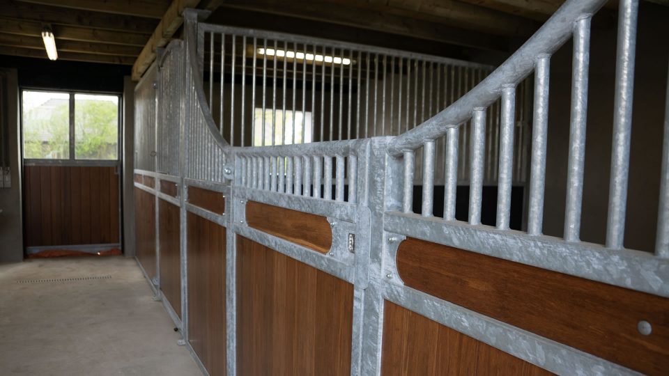 VDO Paardenstallen India - Aniek - 03421 VDO Paardenstallen India - Aniek - 03421