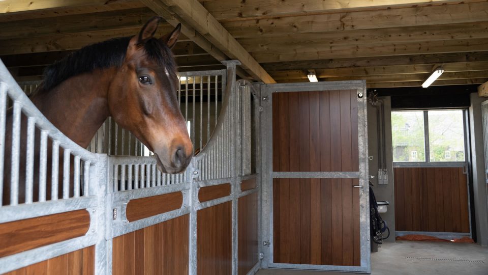 VDO Paardenstallen India - Aniek - 03484 VDO Paardenstallen India - Aniek - 03484