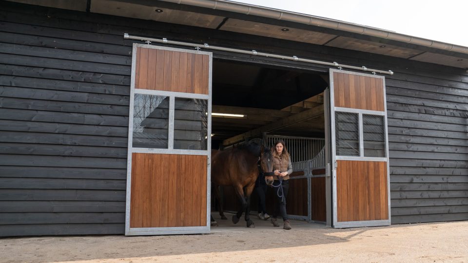 VDO Paardenstallen India - Aniek - 03499 VDO Paardenstallen India - Aniek - 03499