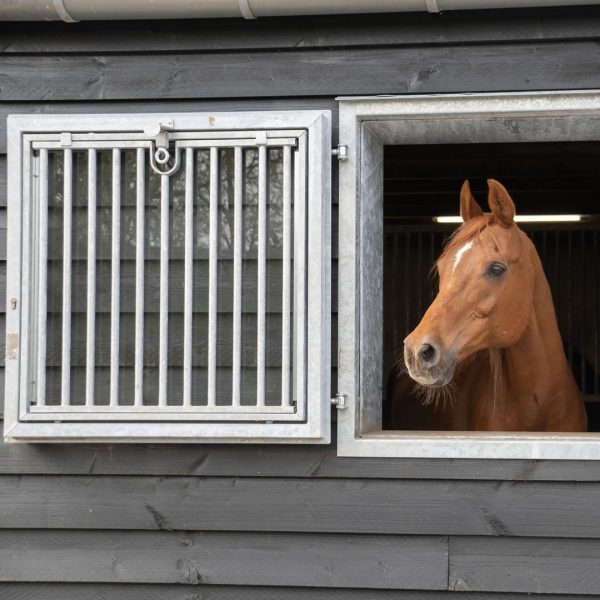 VDO Paardenstallen India - Aniek - Stalramen - 03457 VDO Paardenstallen India - Aniek - Stalramen - 03457