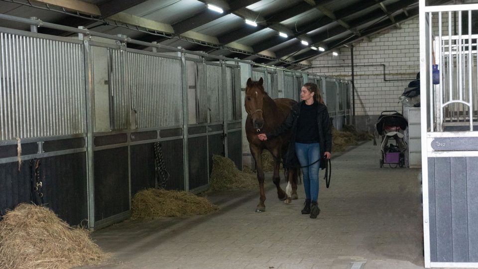 VDO Paardenstallen - José van Haaren - 04905