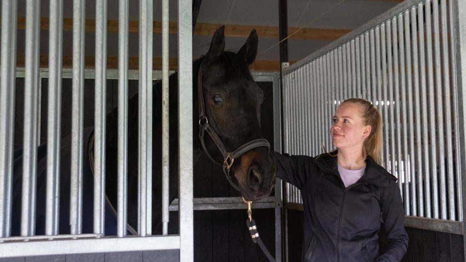 VDO Paardenstallen - Stal Donkhorst - 03580