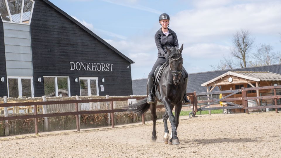 VDO Paardenstallen - Stal Donkhorst - 03693