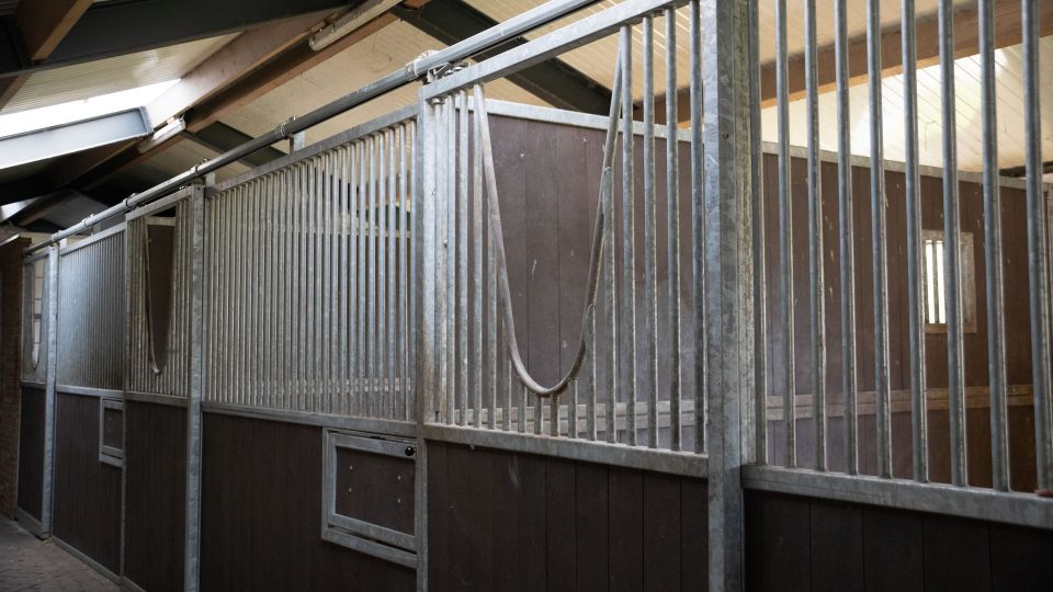 VDO Paardenstallen - Stal M&M - 03745