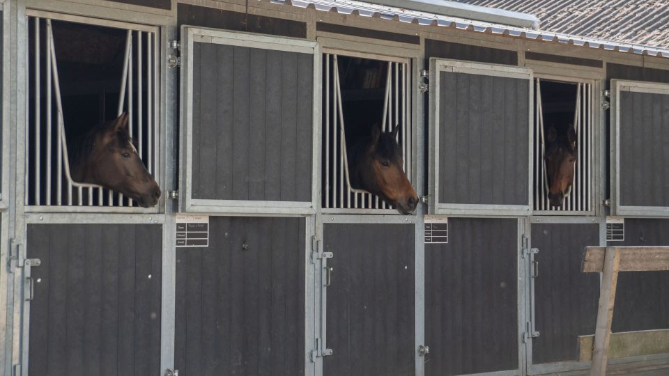 VDO Paardenstallen - Stal M&M - 03797